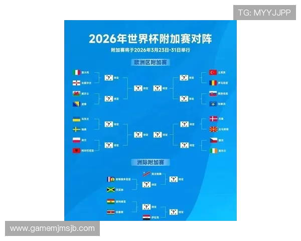 2026年世界杯已出线球队分析,晋级球队背后的实力与潜力