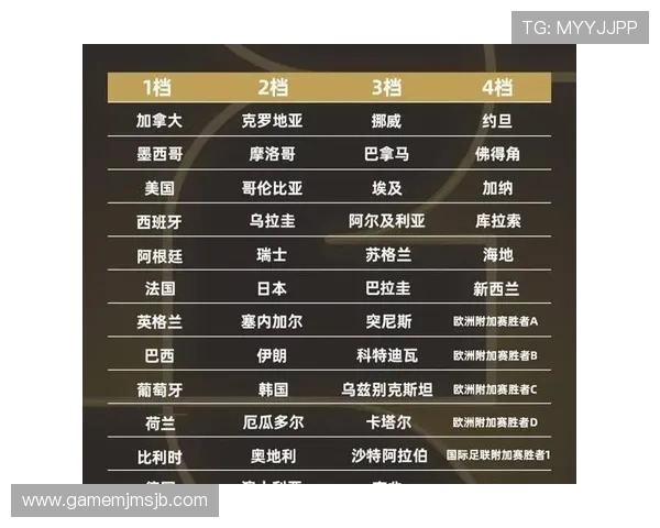 2026年世界杯南美区名额分配详细解析与最新政策解读