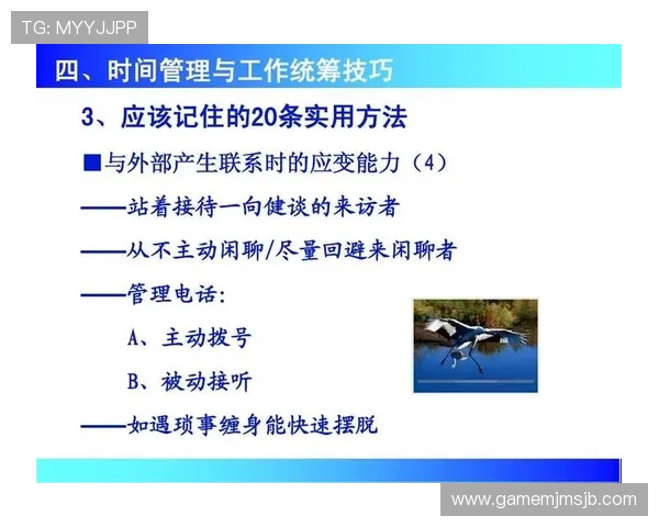 B体育app手机用户必看：提升观看体验的实用技巧与功能介绍